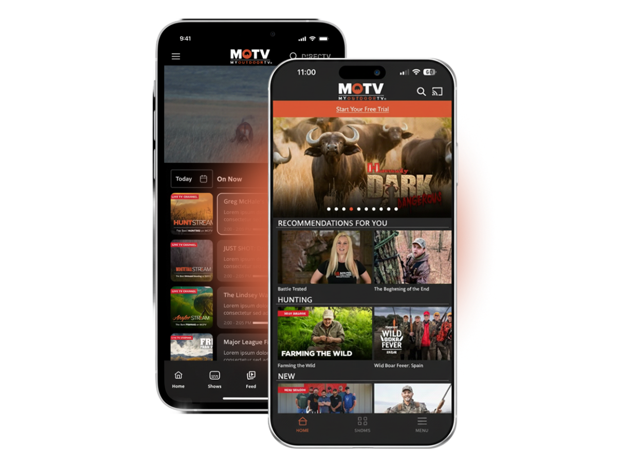 Give your Audience the <br>Red-Carpet Treatment